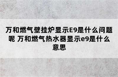 万和燃气壁挂炉显示E9是什么问题呢 万和燃气热水器显示e9是什么意思